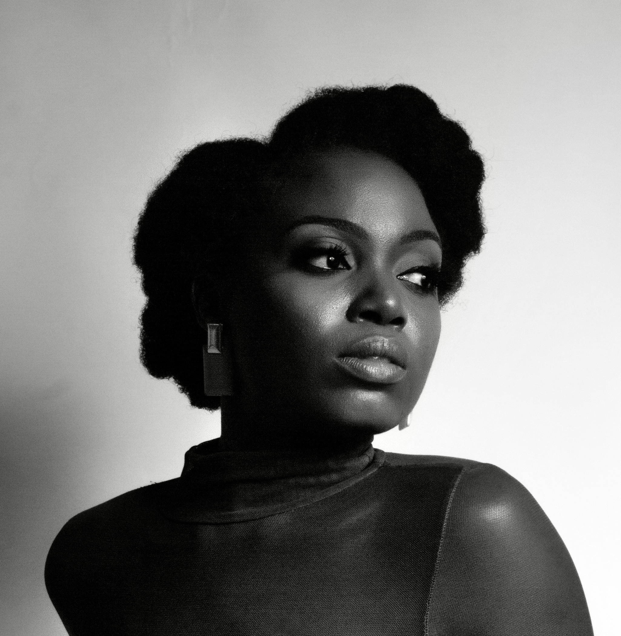 Illustration from the book